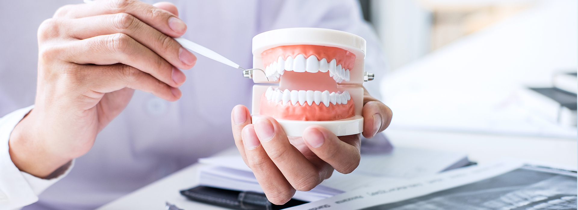 A person s hand holding a white cup with a tooth model, while another hand holds a pen, and the background is blurred.